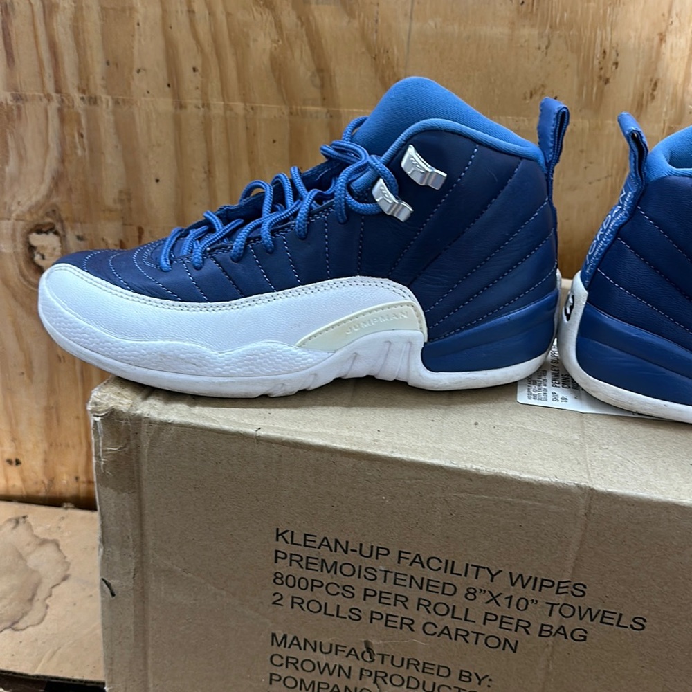 Air Jordan 12 indigo
